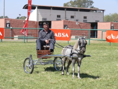 SA Champion for 2010